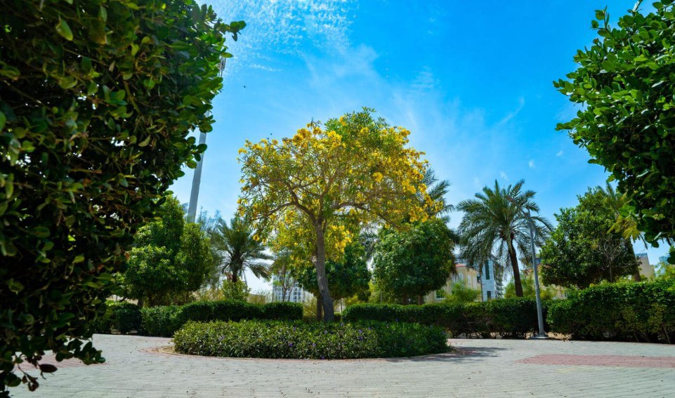 photo_2026-03-16_14-02-40 (2)