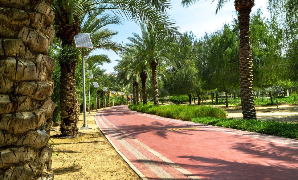 photo_2026-03-16_14-02-42