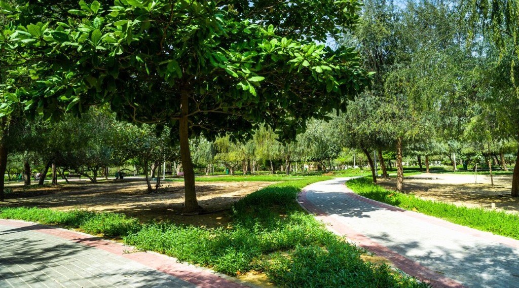 photo_2026-03-16_14-02-43