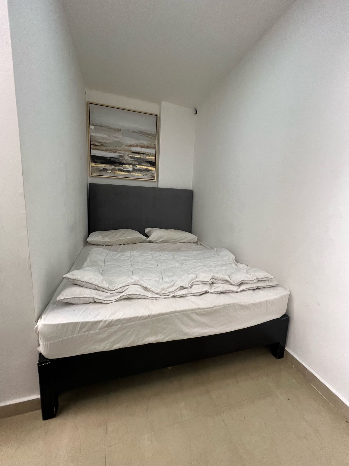 photo_2026-04-09_15-10-36